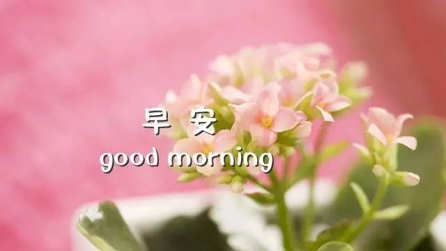 早安正能量，实时更新视频，唤醒你的每一天活力！