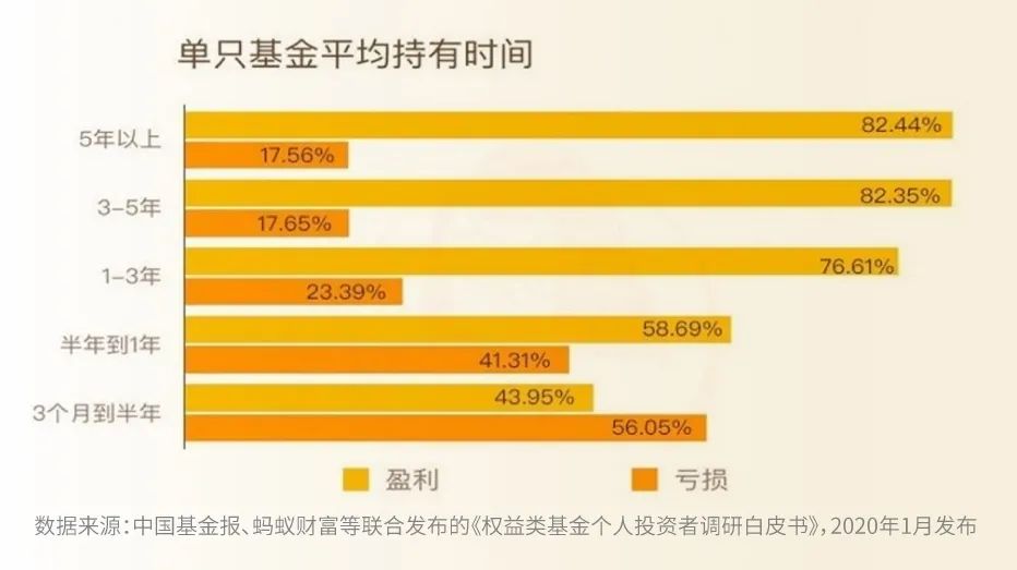 广东菜价实时更新，市场波动与消费者洞察深度解析