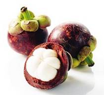 山竹实时在线，探索热带水果之王的生长与保护秘籍