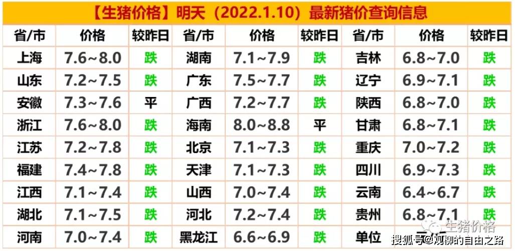 蜎飞蠢动 第4页