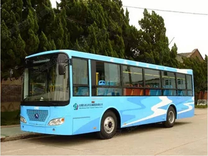 实时追踪446路公交车，全方位解析运行轨迹与时间表