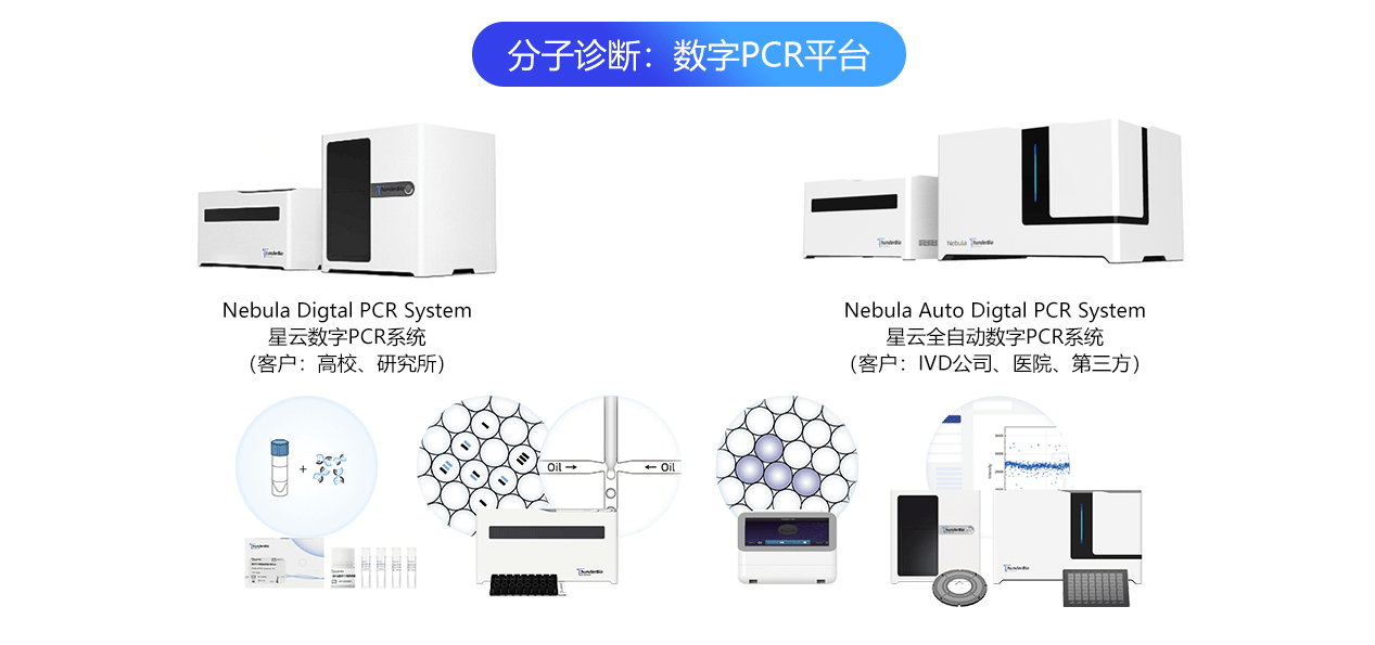 实时定量PCR技术的优势及其应用简介
