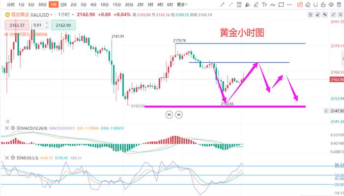 东昌区黄金价格实时查询，洞悉波动，明智投资决策