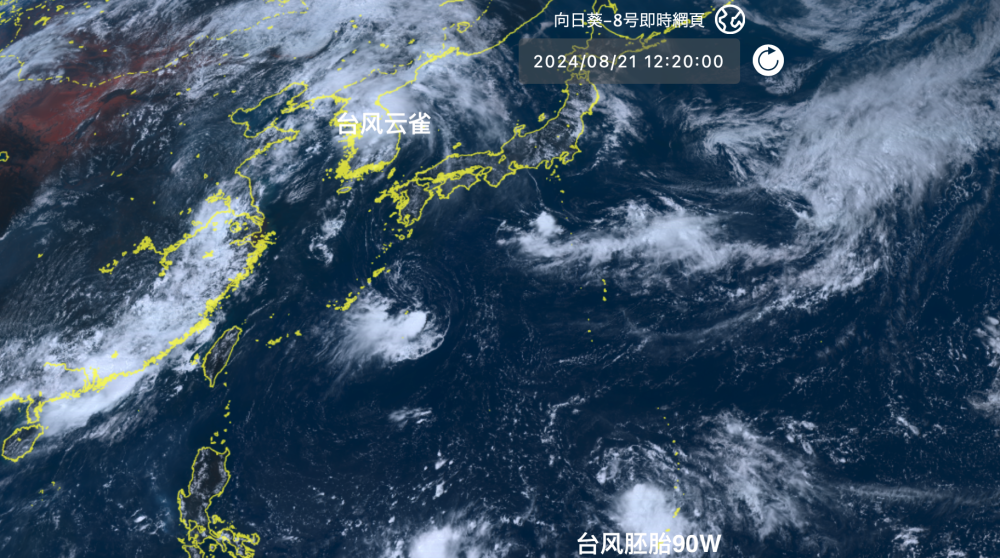 盐田台风实时直播，直击风暴中心，展现抗台风一线力量