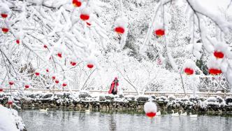 即墨瑞雪飞舞，实时雪舞盛宴开启