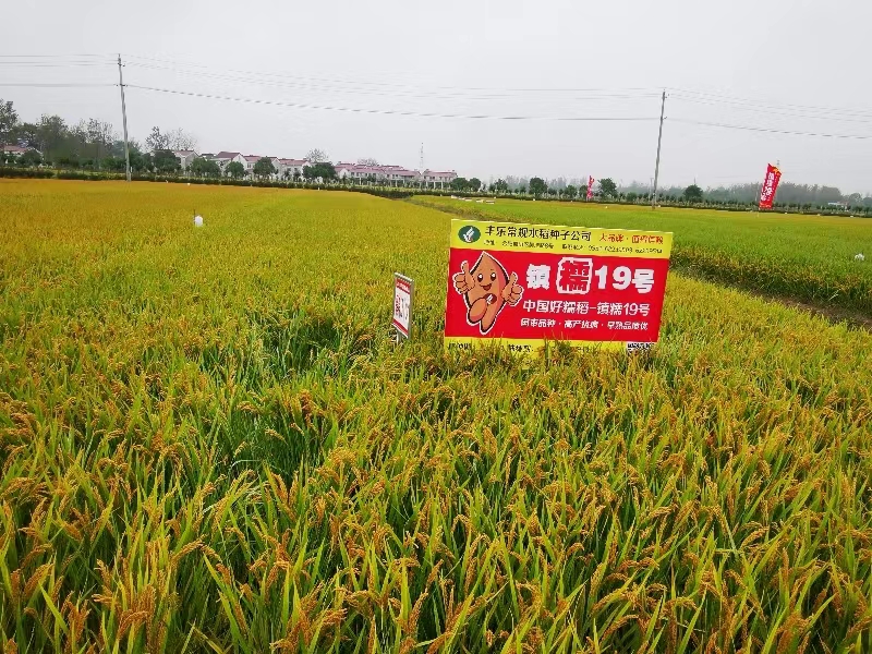 贵不期骄 第5页