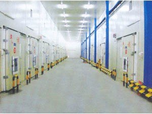 2025年1月2日 第5页