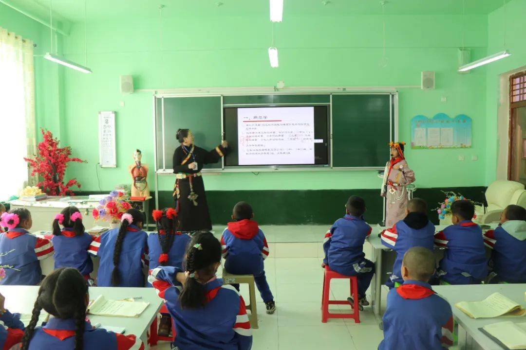 健康校园塑造全面发展绿色环境深度报道