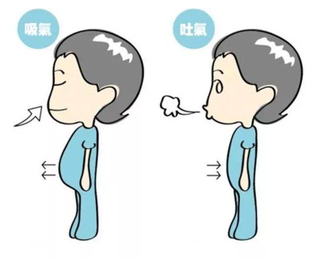 突发呕吐反胃怎么办？原因、症状与应对策略全解析