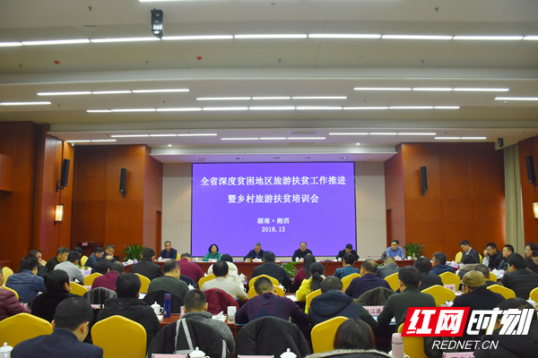 武冈教育扶贫政策深度解读，助力贫困学子走向光明未来