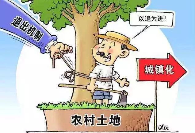 自身工作不落实后果严重，揭秘背后隐患与影响