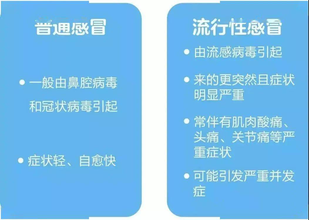 流感高发季来袭，应对策略与预防措施全解析