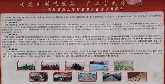 组织整改落实，构建高效执行力之路