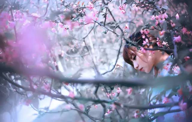 舞仙子，桃花绚烂人生之旅