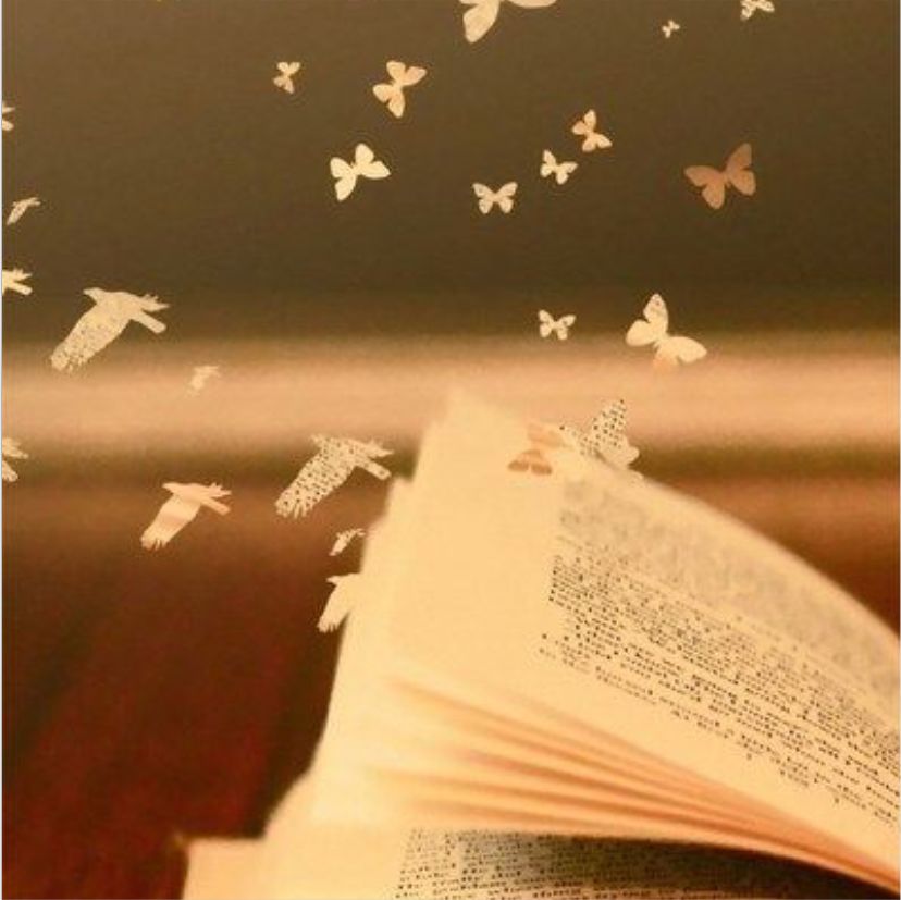 诗意人生，永恒追求完美的卓越之旅