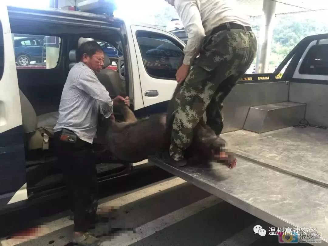 不可预计的突发事故：不可能发生突发事件或者危险已经解除 