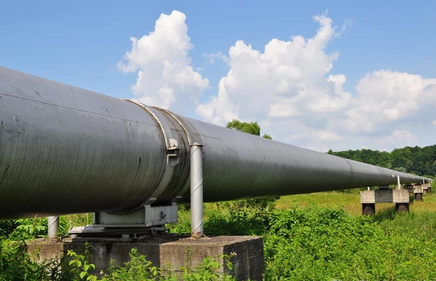 螓首蛾眉 第4页