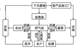 有机农业高效生产：有机农业生产的基本原理 