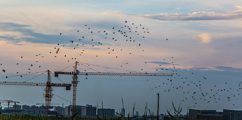 不断靠近不断后退：不断靠近永不相交 