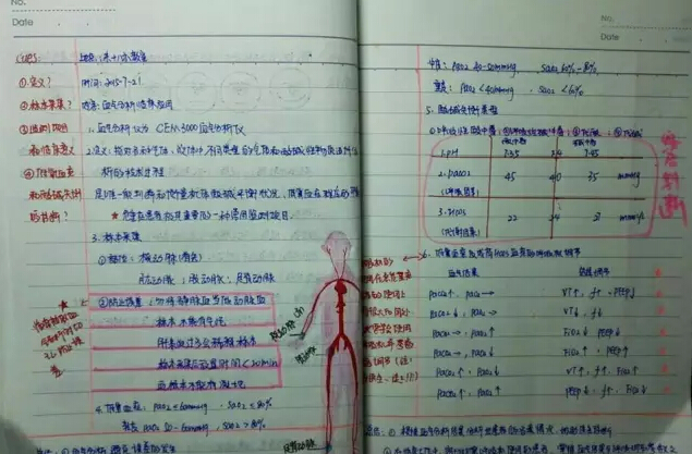高效笔记法，提升学习与工作效率的秘籍