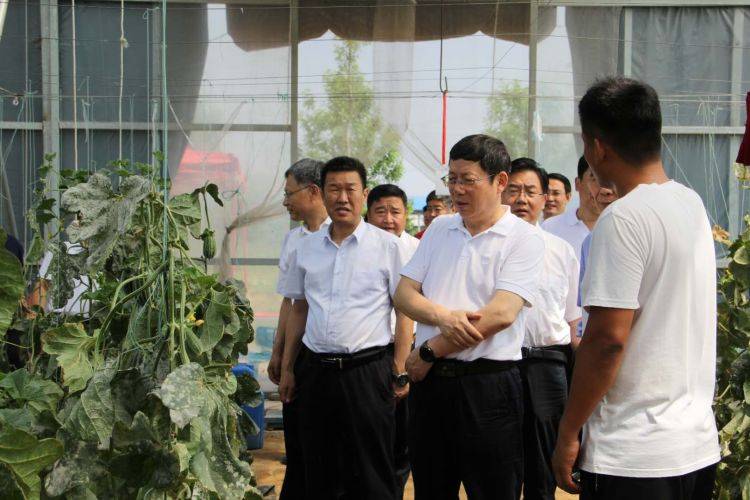 村宣传文化员：村宣传文化员干部述职报告 