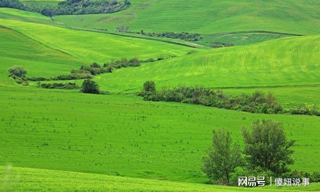 随方就圆 第4页