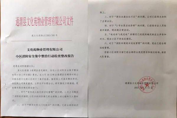 审计专题整改深化管理增效,确保效能提升的关键行动
