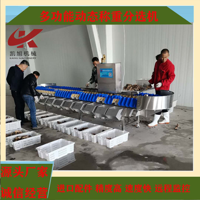 分选机设计规范模板： 