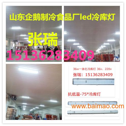 仓库三防灯规范：冷库三防灯 