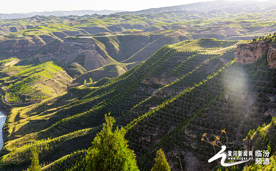 2025年1月14日 第2页