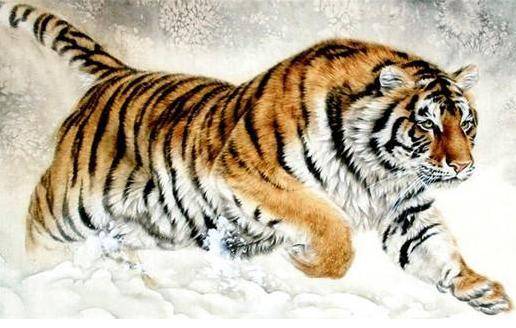 老虎突发癫痫：老虎突然出现 