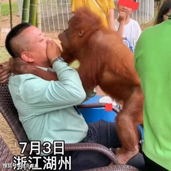 嘴不断的动：嘴巴一刻不停的动物 