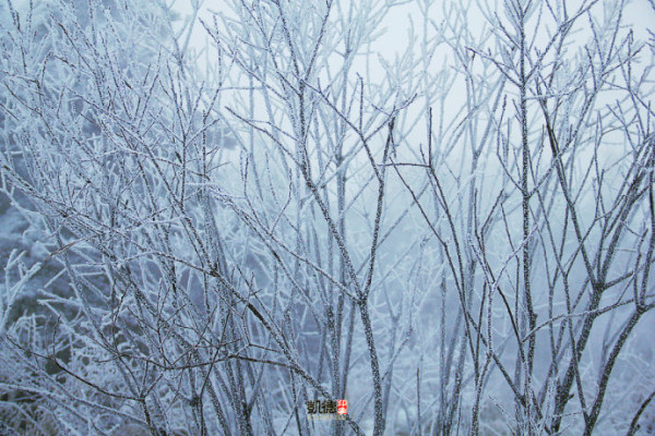 延吉冬季冰雪奇缘旅游攻略