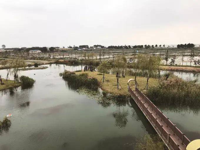 地下室鱼塘建设规范：地下室鱼池设计图 