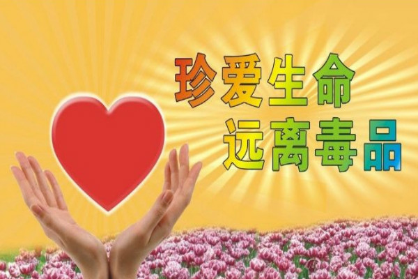 参考宣传语：参与宣传 