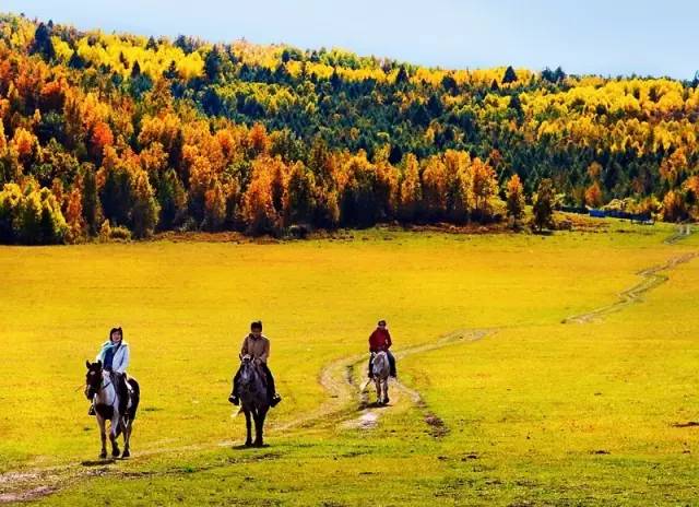 金秋甘南之旅，秘境探秘，惊艳你的视觉之旅！