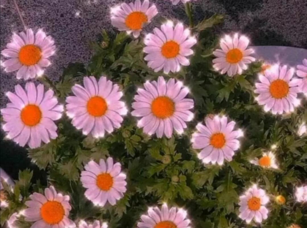 听见风就是雨 第4页