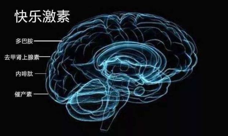 突发性神经兴奋，身体与心理的神秘交融之旅