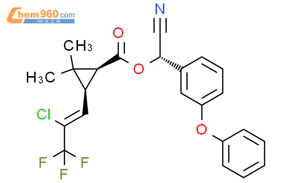 温文尔雅 第4页