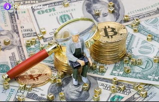 上海土拍今日揭晓最新成果，市场趋势洞悉与未来展望揭秘