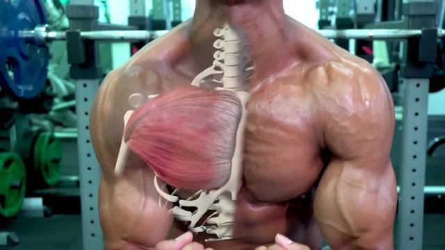 如何练胸高效：怎么练胸好看 