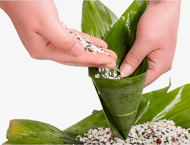 日本米叶落实：日本米叶小竹的养护 