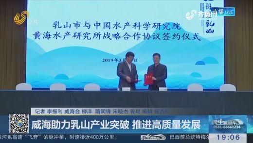 青岛乳山最新热点新闻聚焦