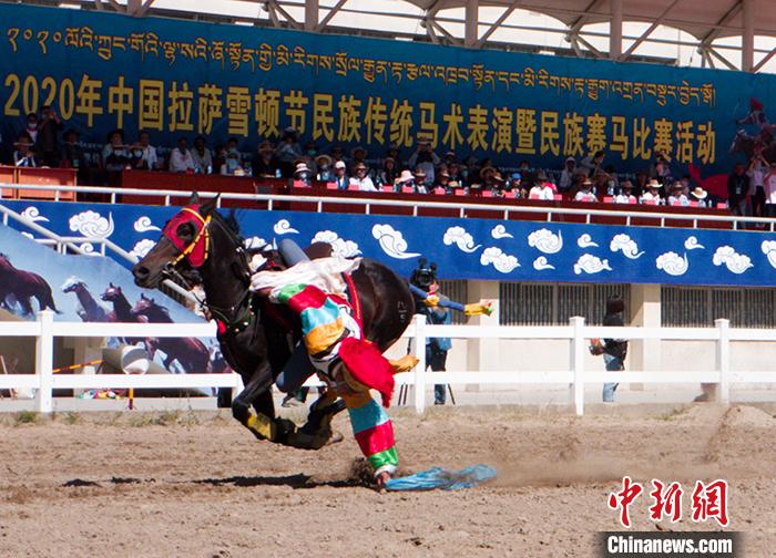 全球赛马积分榜大揭秘，精英赛道上的马术竞技风采！