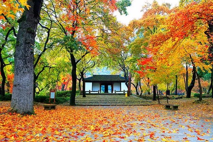 河北金秋十月旅游攻略大揭秘！