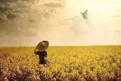 Spring魅力大揭秘，探索与挖掘春天的无限魅力