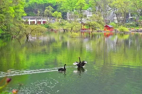 桂林夏季旅游攻略，玩转夏日风情，畅游桂林山水间！