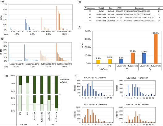 湖南高效pcr公司：湖南高效pcr公司地址 