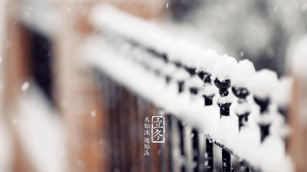 诗意突发，探寻文字间的情感与灵感瞬间