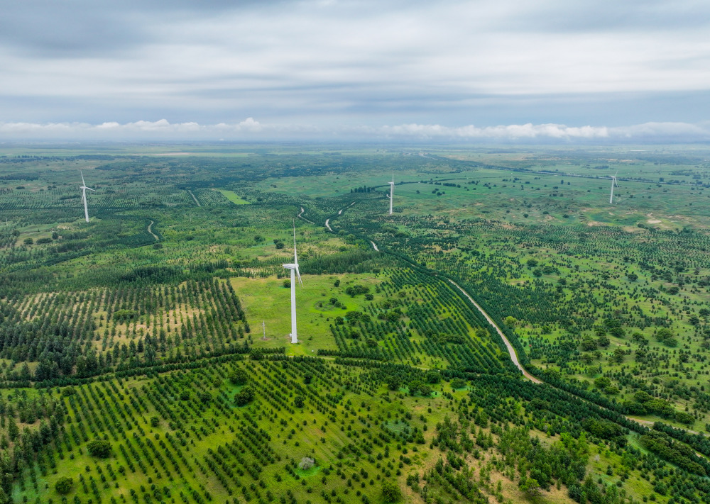 徐汇公园游玩全攻略，让你畅游绿意盎然的城市绿洲！